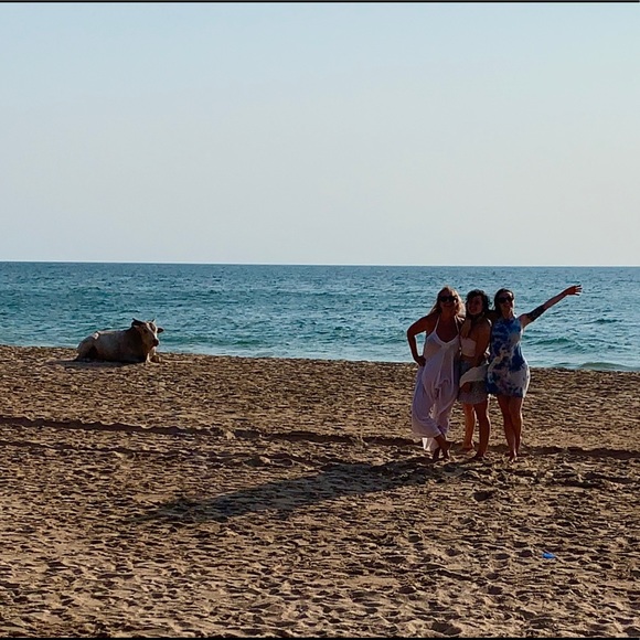 NOT FOR SALE! NFS! :) - Picture 4 of 5